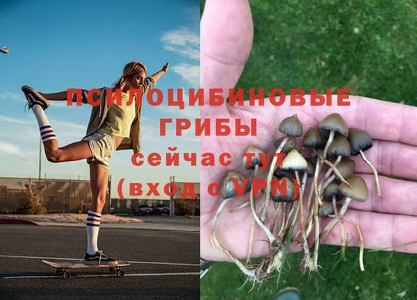 гашиш Кодинск