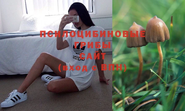 гашик Киренск