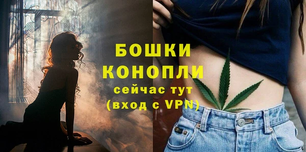 молекула духа Козловка