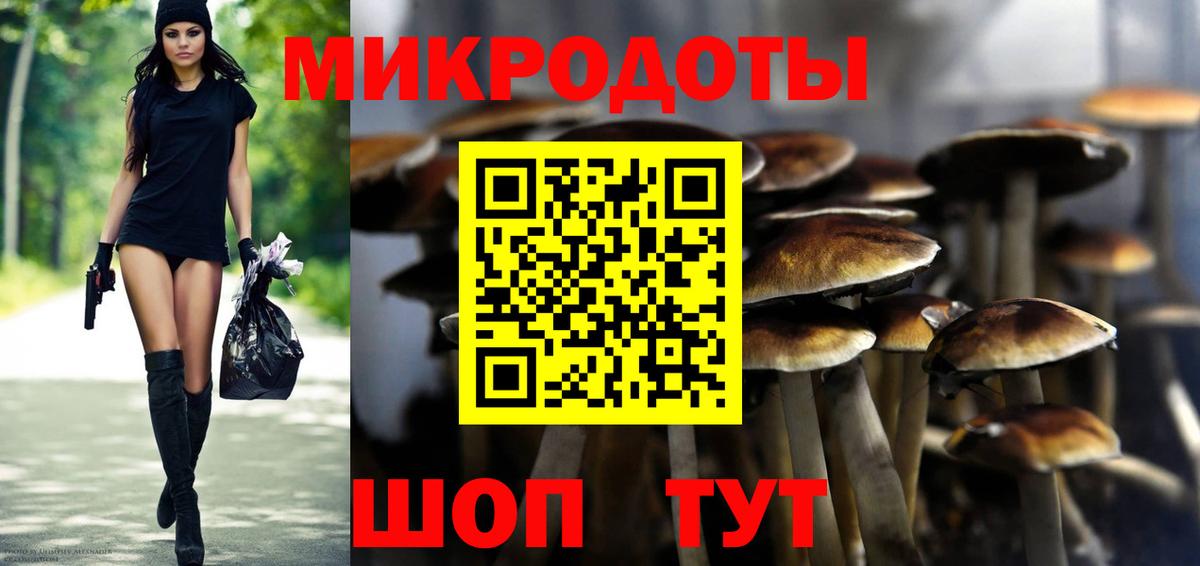 Галлюциногенные грибы Psilocybine cubensis  Псилоцибиновые грибы прущие грибы  Электросталь  Вход с VPN 